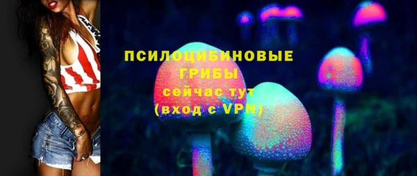 дмт Зеленокумск