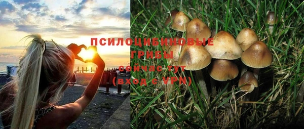 хмурый Зеленодольск