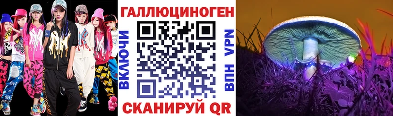 Купить где  Белово  Галлюциногенные грибы Magic Shrooms 